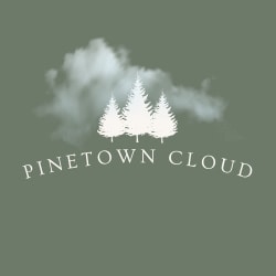 @pinetowncloud profile